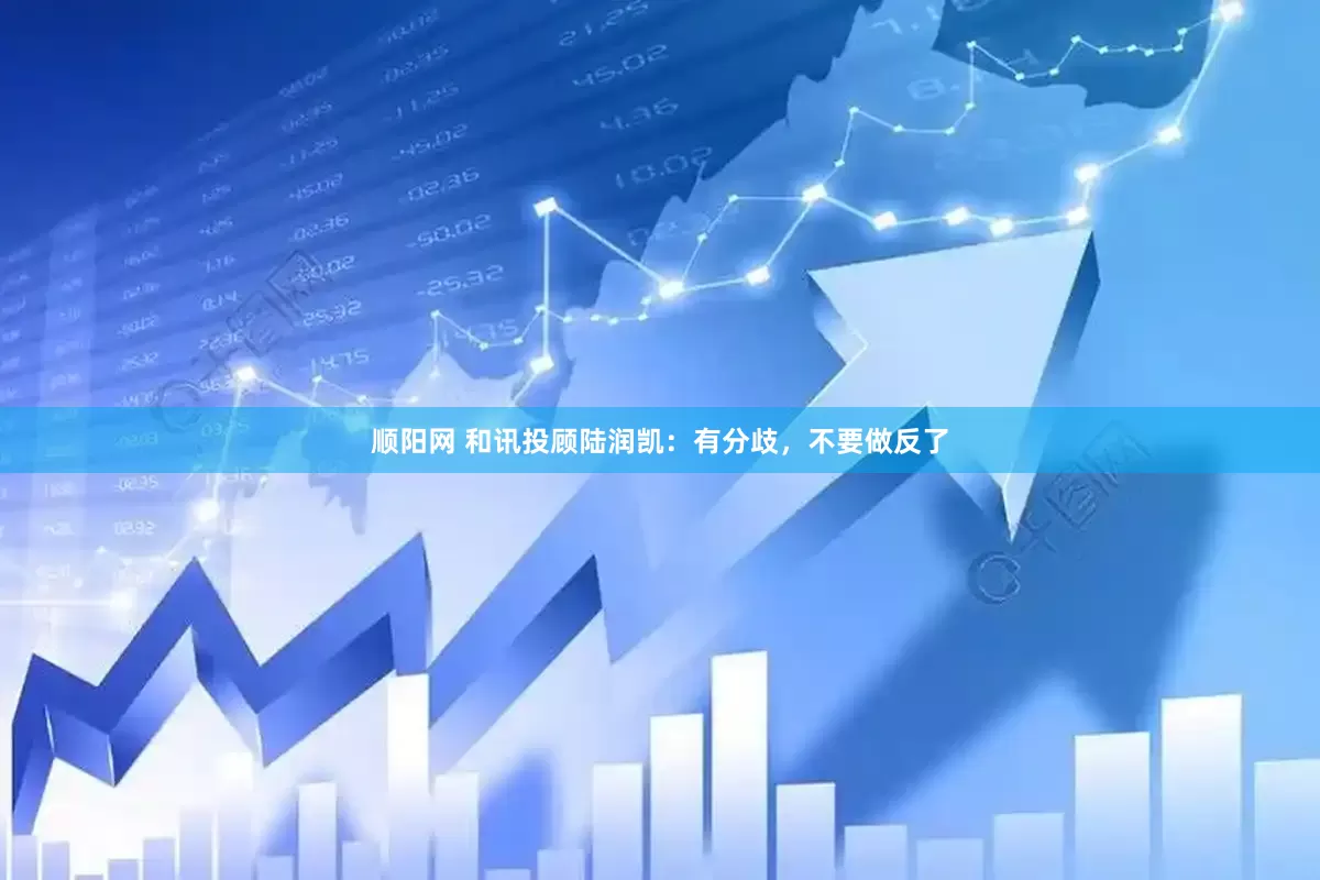 顺阳网 和讯投顾陆润凯：有分歧，不要做反了
